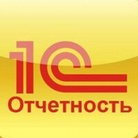 1С-Отчетность группа компаний для ИП